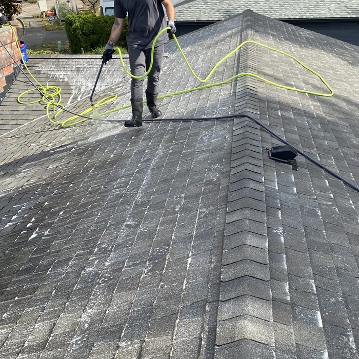 Softwash Roof Cleaning