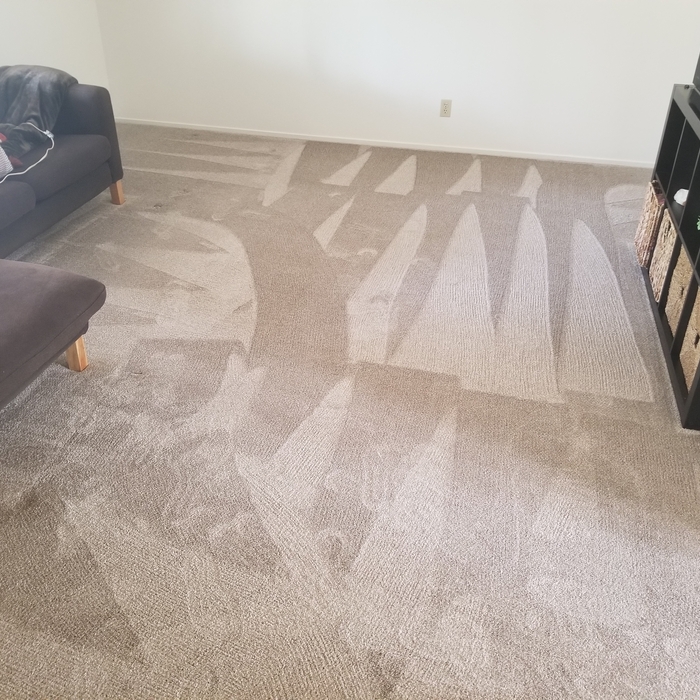 Carpet