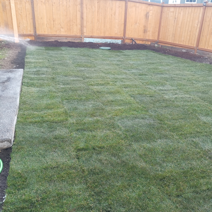 New Sod.