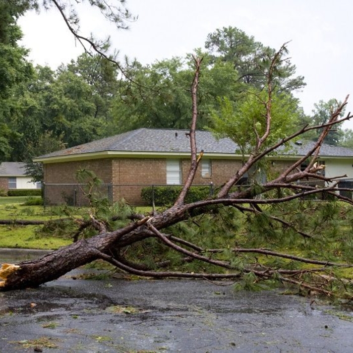 Storm Damage