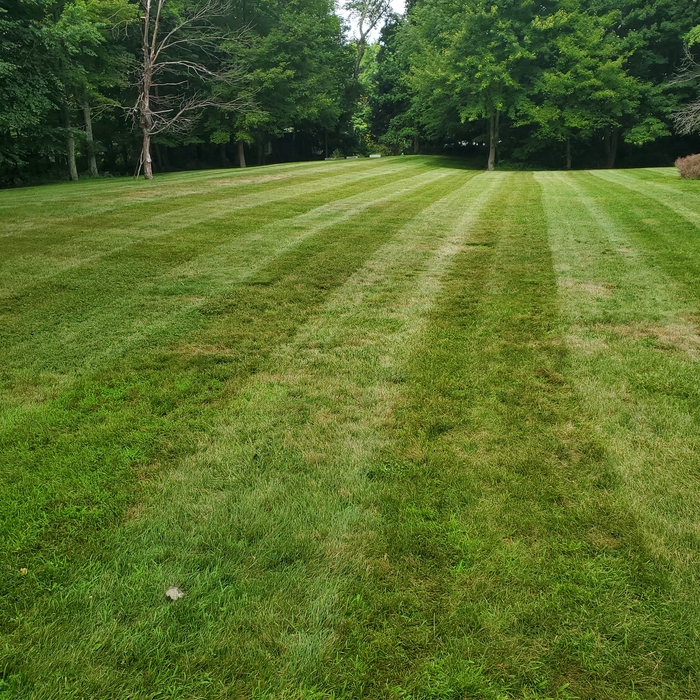 Lawn mowing