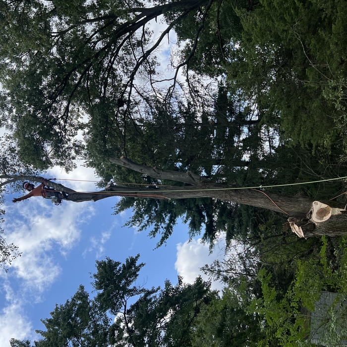 storm damage