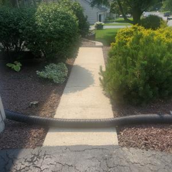 Cleaned Front Sidewalk