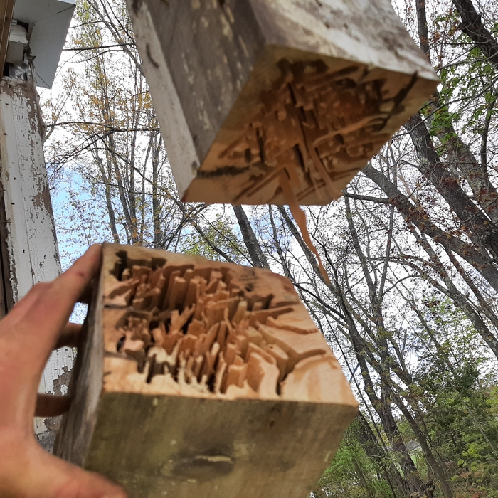 Damaged Post 1