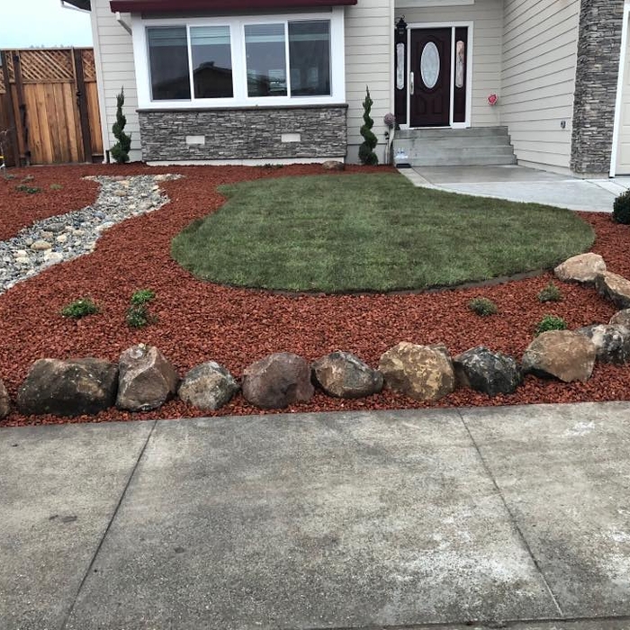 Front Yard