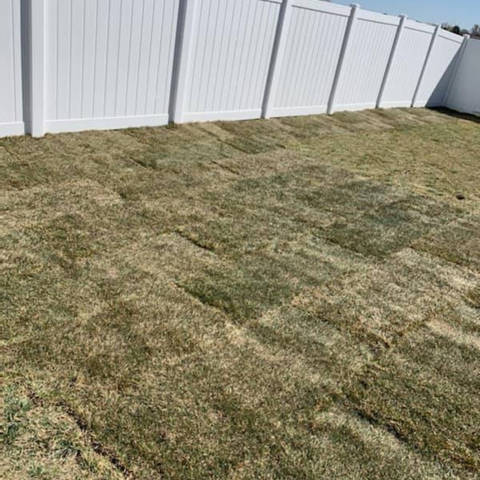 Sod Install After