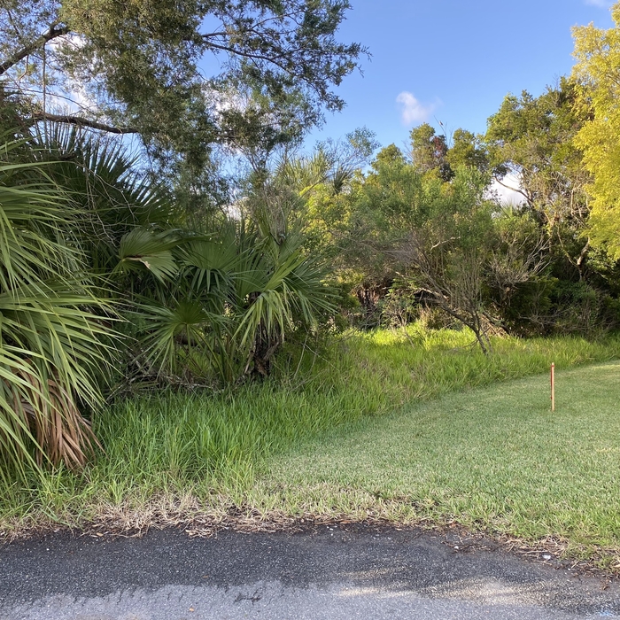 Raw Waterfront Lot