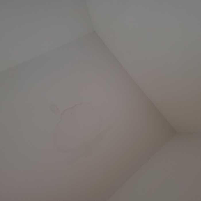 Damaged ceiling