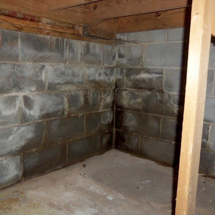 Basement Waterproofing