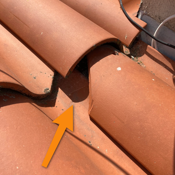 Roof Inspection Revealing a Broken Roof Tile