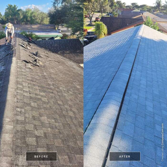 SHINGLE ROOF