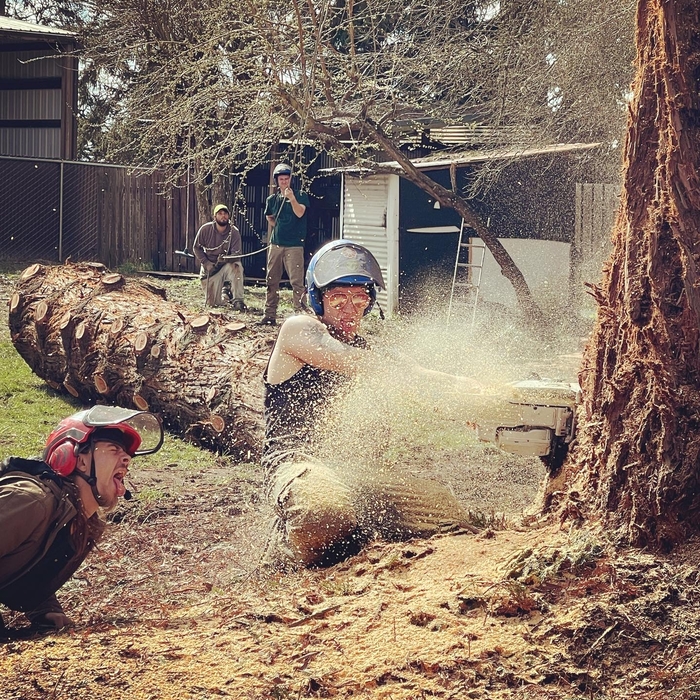 Squirrels eat wood chips on occasion.