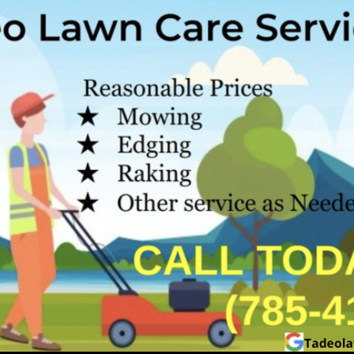 Tadeo Lawn Care