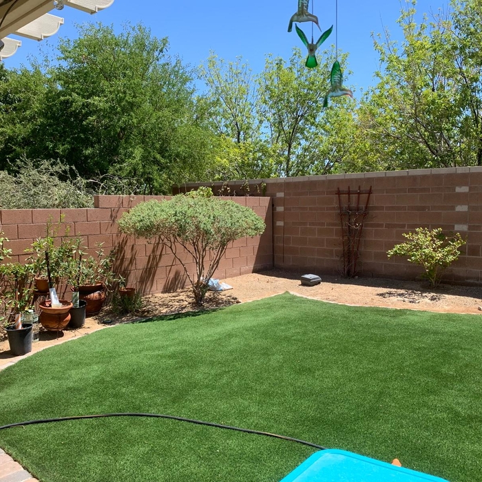 Aesthetic Yard