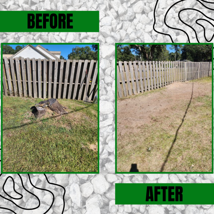 Stump Grinding on Fence Line