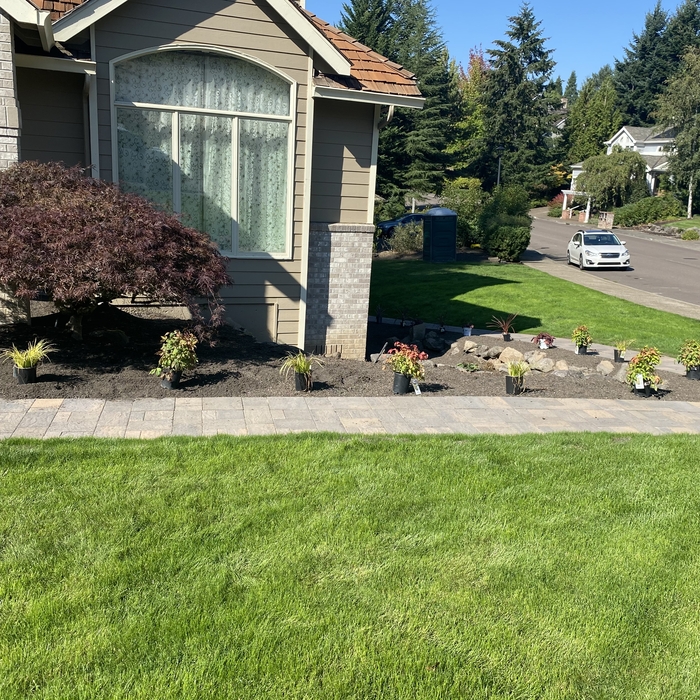 Paver walkway