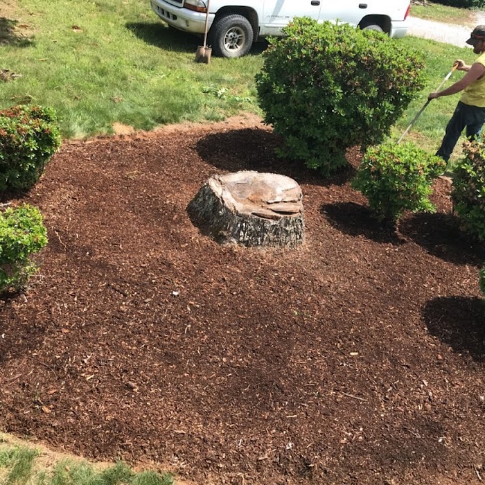 Landscaping