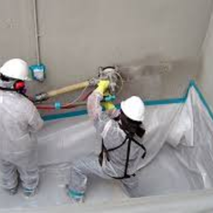 Lead Remediation