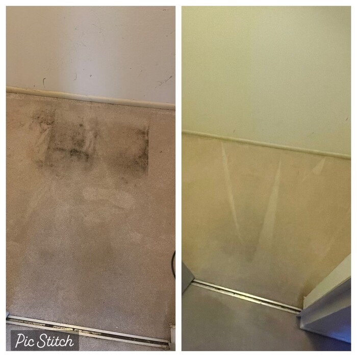 Before &amp; After Stain Removal
