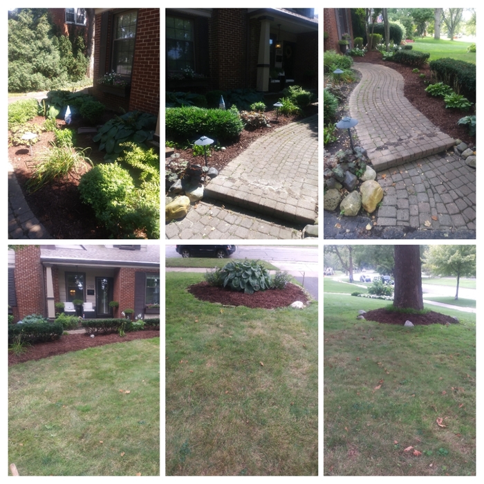 Garden bed makeover