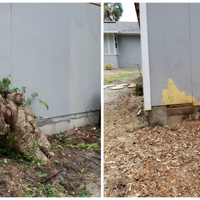 Tree Stump Removal