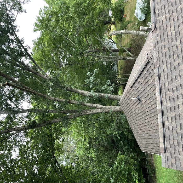 Trimming