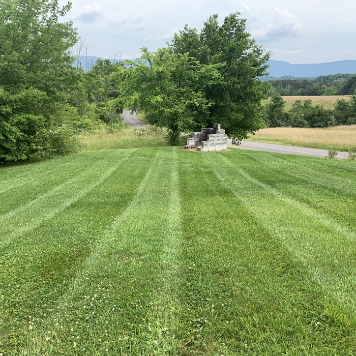 Mowing