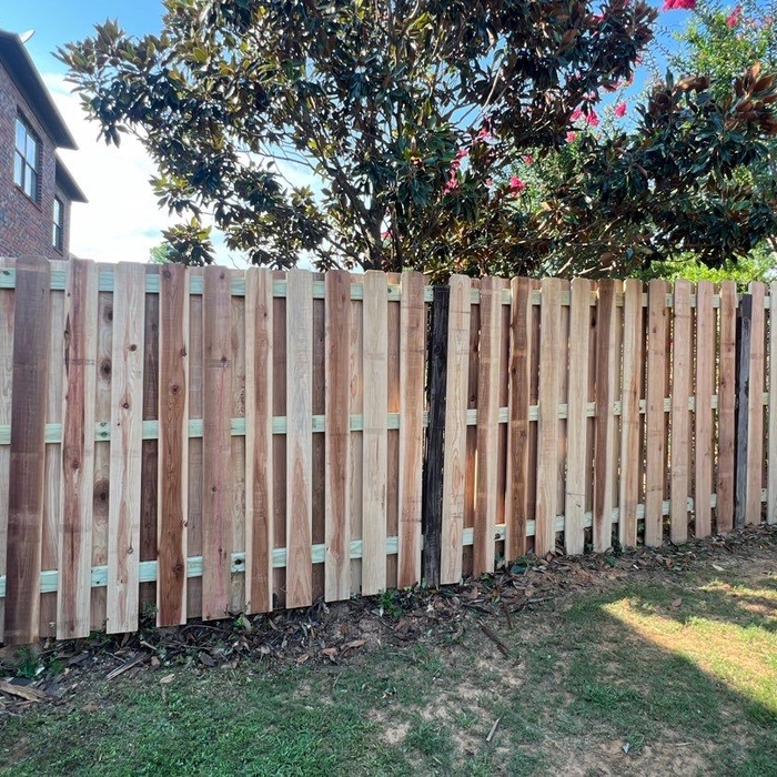 Cedar Fence