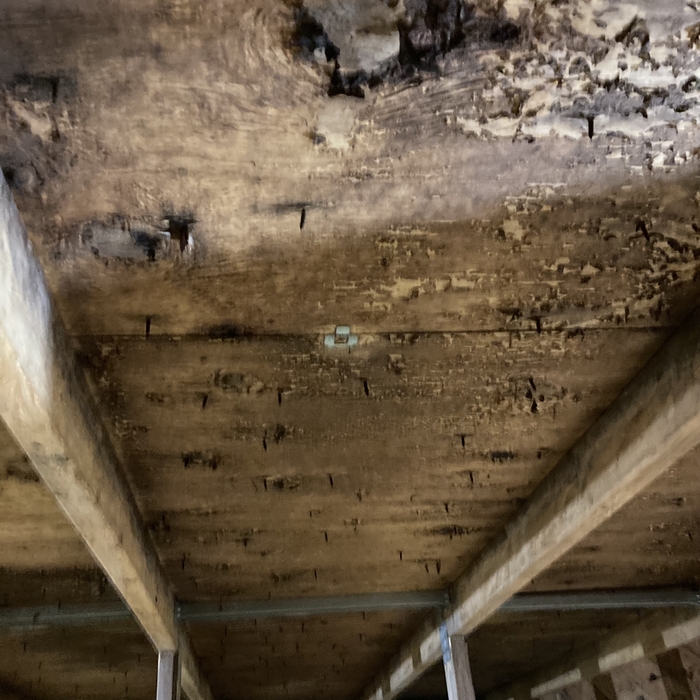 Mold Contamination in Attic