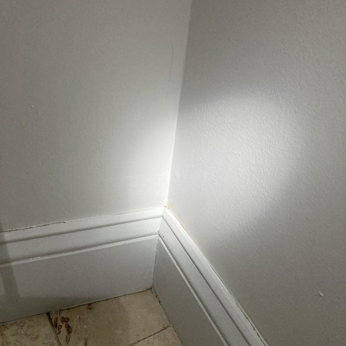 Living Room Mold Remediation - Lowell, MA
