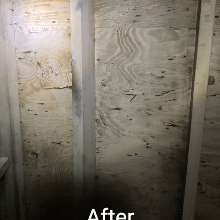 Attic Mold Remediation