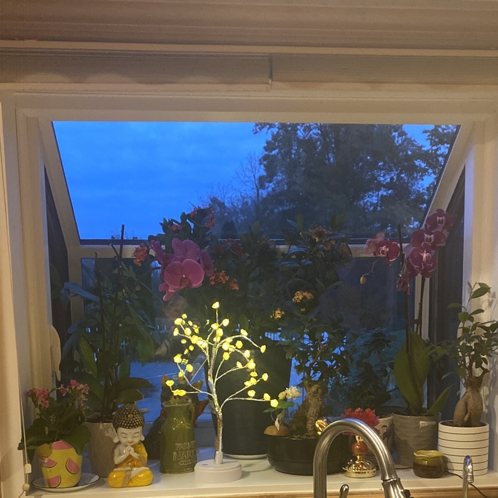 Garden Box  Window