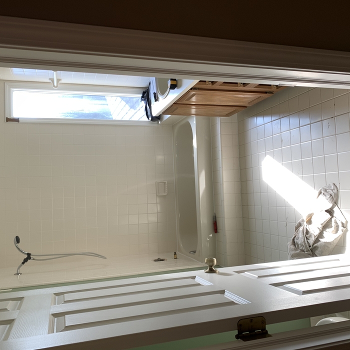 Bathroom Before (Lisa E)