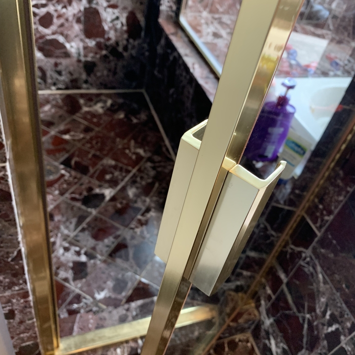 Detailed shower door