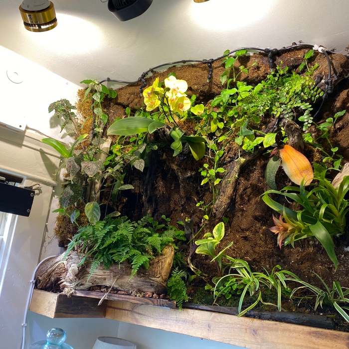 Custom orchid jungle
