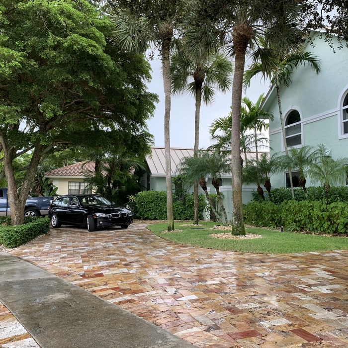 Lawn Service Maintenance