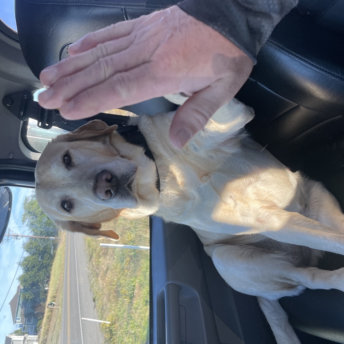 Copilot