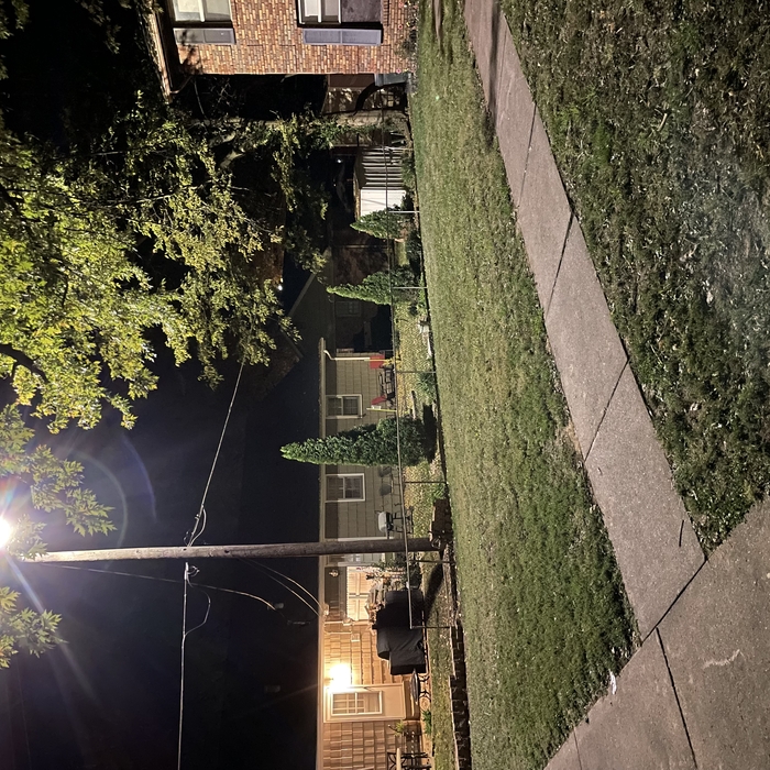 Side yard