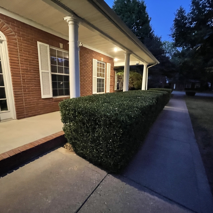 Shrub trimming