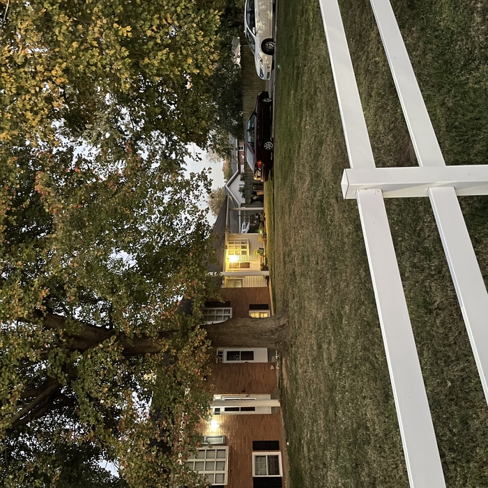 Leaf clean up