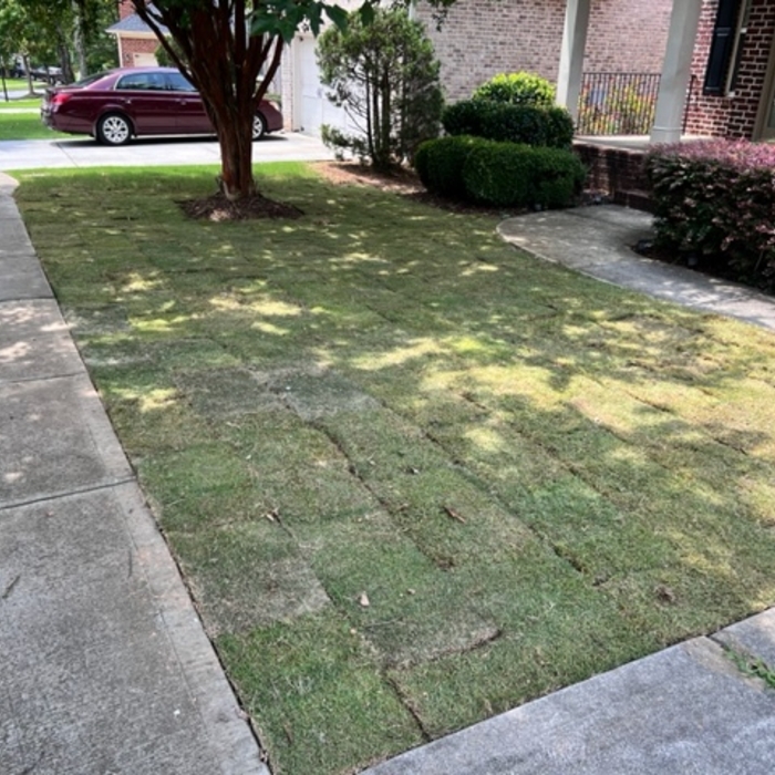Sod Install