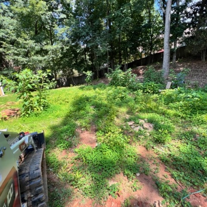 Before Clean up &amp; Mulch