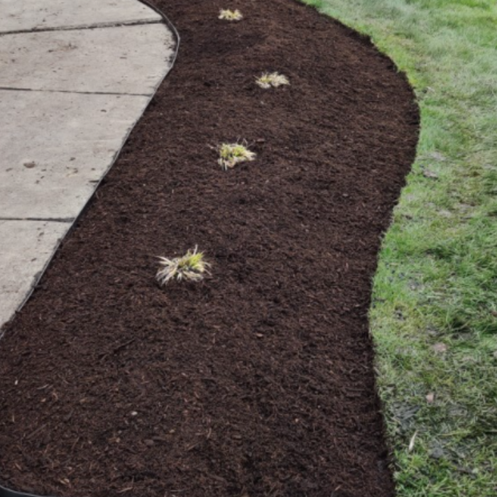 Garden Cleanouts and installs