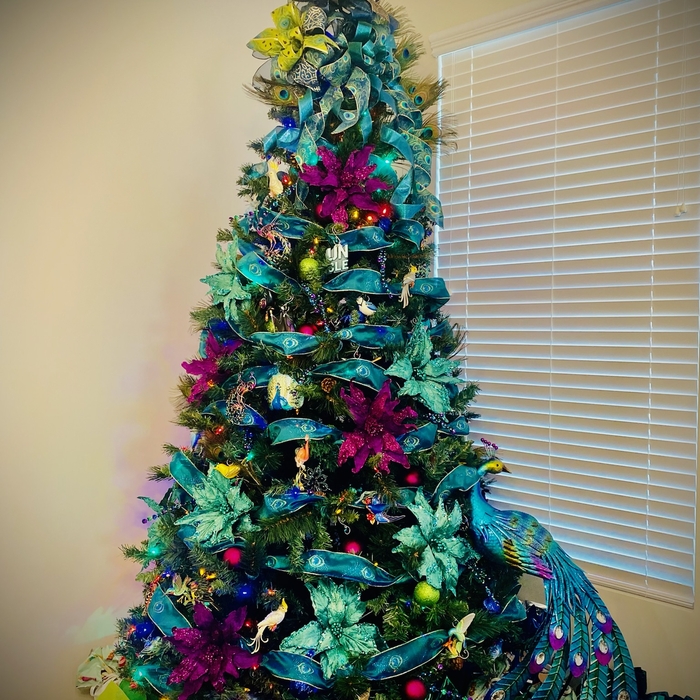 Peacock Christmas