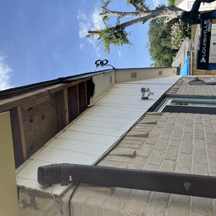 replacing soffit and fascial boards