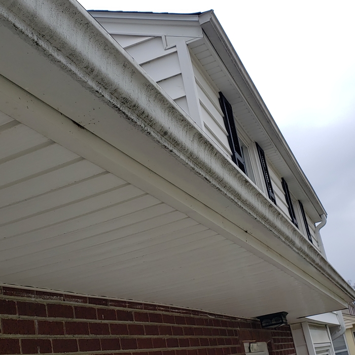 Gutter Brightening Before