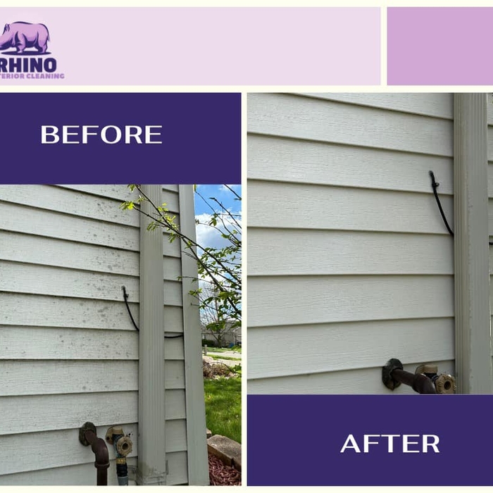 Mildew Removal From Siding