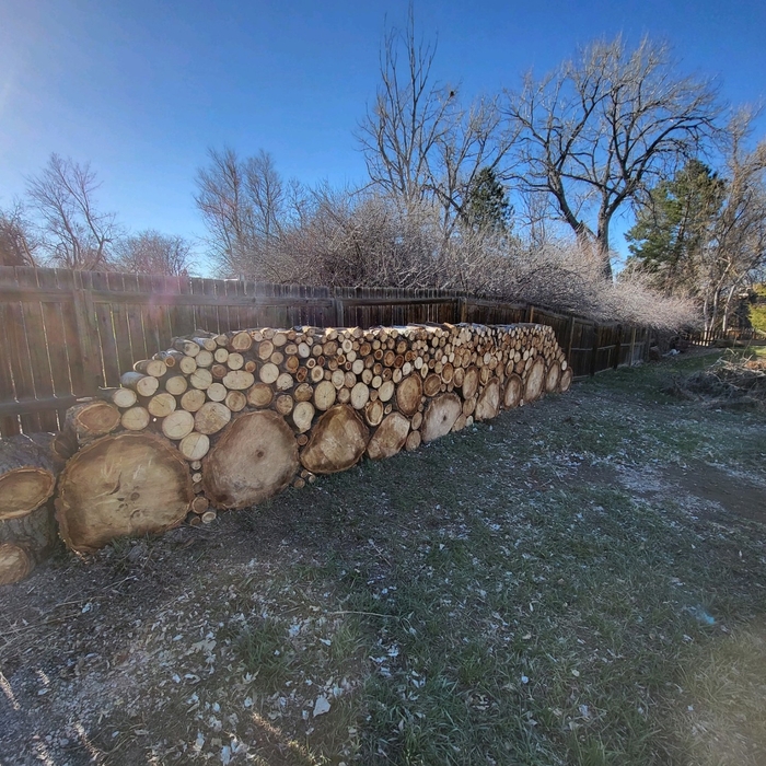 wood Pile #2