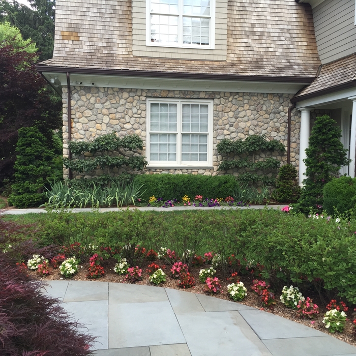 Don&#39;t forget about the maintenance a garden ne