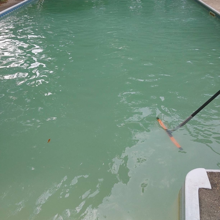 Green to Clean - Day 5